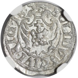 Zygmunt III Waza, Szeląg 1618, Ryga - mała korona - rzadki