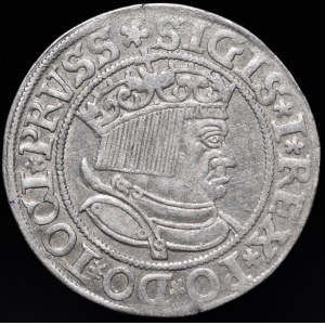 Zygmunt I Stary, Grosz 1534, Toruń