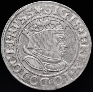 Sigismund I the Old, Penny 1534, Torun