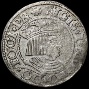 Sigismund I the Old, 1534 penny, Gdansk - PR