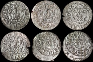 Sigismund III Vasa, the Riga Shelf - set (pcs. 6)
