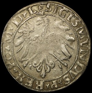 Sigismund I the Old, Penny 1535, Vilnius - letter N - L/LITV - very rare