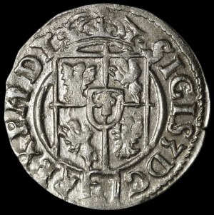 Sigismund III Vasa, Half-track 1623, Bydgoszcz - small crown - stars