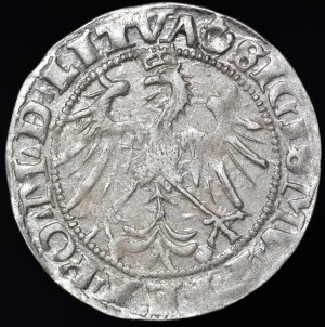 Sigismund I the Old, Penny 1536, Vilnius - letter M - LITVA/LITVA - rare