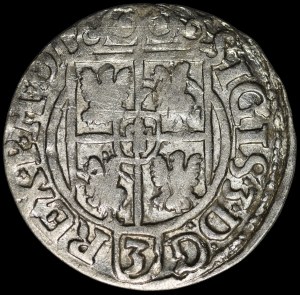 Sigismund III Vasa, Half-track 1621, Bydgoszcz - POOLO curiosity