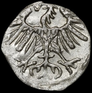 Sigismund II Augustus, Denarius 1554, Vilnius - beautiful