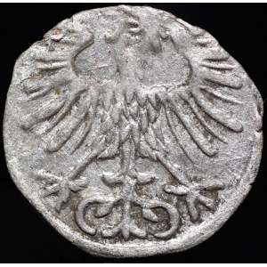 Sigismund II Augustus, Denarius 1556, Vilnius