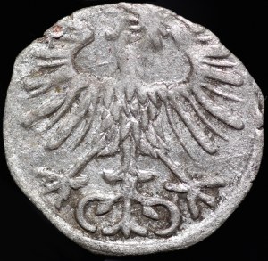 Sigismund II Augustus, Denarius 1556, Vilnius