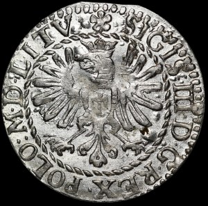 Sigismund III Vasa, 1610 penny, Vilnius - exquisite