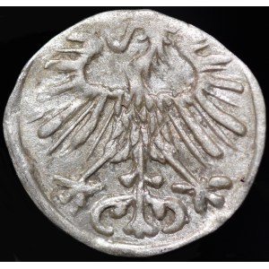Zygmunt II August, Denar 1557, Wilno
