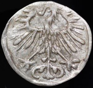 Sigismund II Augustus, Denarius 1557, Vilnius