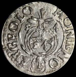 Sigismund III Vasa, Half-track 1624, Bydgoszcz - Saxon in decorative shield