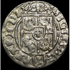 Zygmunt III Waza, Półtorak 1624, Bydgoszcz - Sas w tarczy ozdobnej
