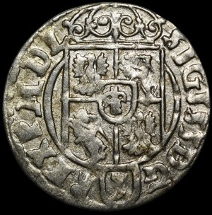 Sigismund III Vasa, Half-track 1624, Bydgoszcz - Saxon in decorative shield