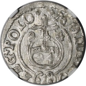 Zygmunt III Waza, Półtorak 1624, Bydgoszcz - Sas w tarczy owalnej