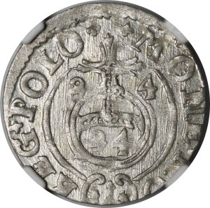 Sigismund III Vasa, Half-track 1624, Bydgoszcz - Saxon in oval shield