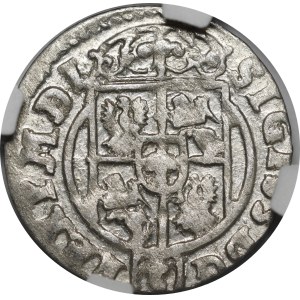 Zygmunt III Waza, Półtorak 1624, Bydgoszcz - Sas w tarczy owalnej