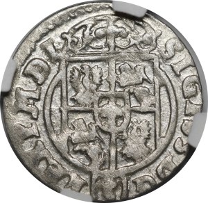 Sigismund III Vasa, Half-track 1624, Bydgoszcz - Saxon in oval shield