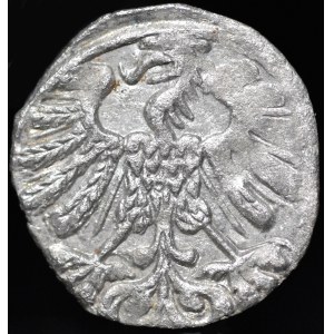 Zygmunt II August, Denar 1558, Wilno