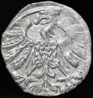 Sigismund II Augustus, Denarius 1558, Vilnius