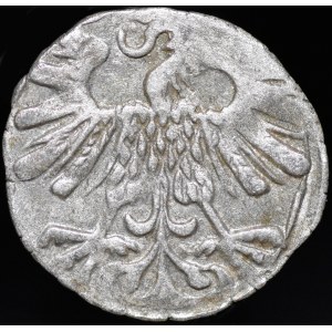 Sigismund II Augustus, Denarius 1559, Vilnius