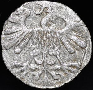 Sigismund II Augustus, Denarius 1559, Vilnius