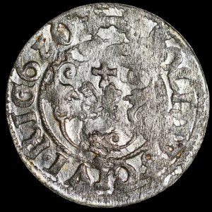 Sigismund III Vasa, 1620 shellac, Riga - fox left - 6ZO - rare