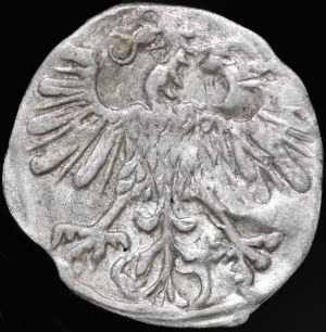 Sigismund II Augustus, Denarius 1559, Vilnius - curiosity