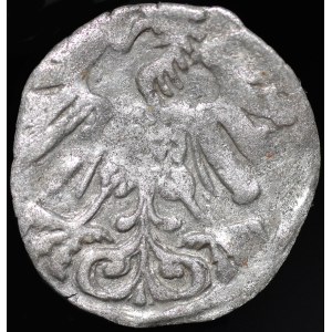 Zikmund II Augustus, denár 1558, Vilnius