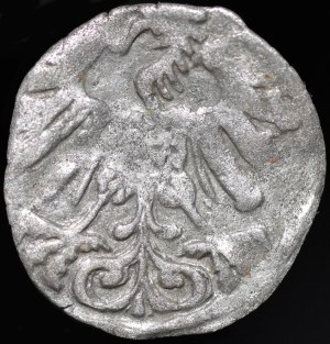 Sigismund II Augustus, Denarius 1558, Vilnius