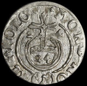 Sigismund III Vasa, Half-track 1624, Bydgoszcz - Saxon in oval shield