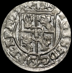 Sigismund III Vasa, Half-track 1624, Bydgoszcz - Saxon in oval shield
