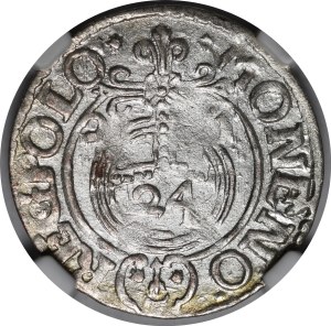 Sigismund III Vasa, Half-track 1621, Bydgoszcz - Saxon in oval shield