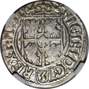 Sigismund III Vasa, Half-track 1621, Bydgoszcz - Saxon in oval shield