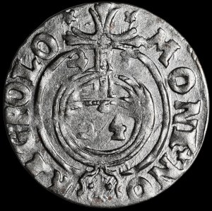 Sigismund III Vasa, Half-track 1625, Bydgoszcz - Saxon in decorative shield