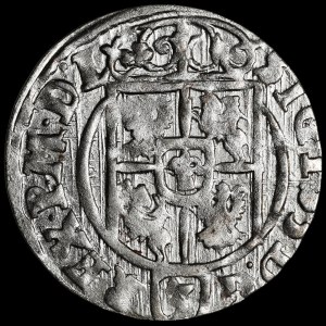 Sigismund III Vasa, Half-track 1625, Bydgoszcz - Saxon in decorative shield
