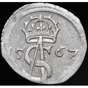 Zygmunt II August, Dwudenar 1567, Wilno