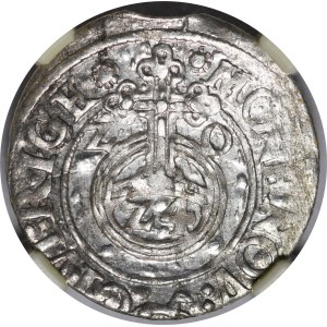 Zygmunt III Waza, Półtorak 1620, Ryga - liszka dzieli napis