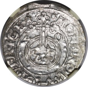 Sigismund III Vasa, Half-track 1620, Riga - liscus divides the inscription