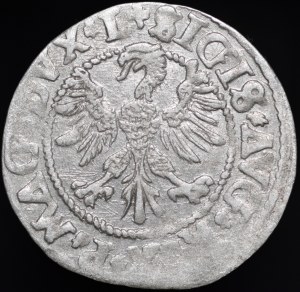 Sigismund II Augustus, Half-penny 1546, Vilnius - older Eagle type - L/LITV