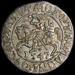 Sigismund II Augustus, Half-penny 1547, Vilnius - L/LITVA - rare