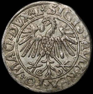 Sigismund II Augustus, Half-penny 1547, Vilnius - L/LITVA - rare