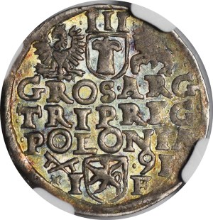 Sigismund III Vasa, Trojak 1591, Poznań - high crown with lilies