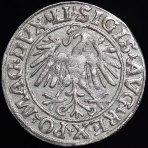 Sigismund II Augustus, Half-penny 1547, Vilnius - LI/LITVA