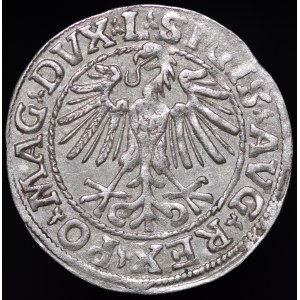Zygmunt II August, Półgrosz 1548, Wilno - rzymska I, L/LITVA - rzadki