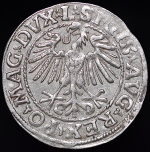 Sigismund II Augustus, Half-penny 1548, Vilnius - Roman I, L/LITVA - rare