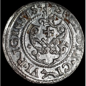 Zygmunt III Waza, Szeląg 1621, Ryga - POL D L