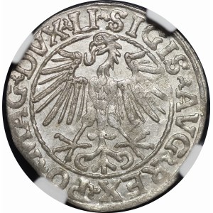 Zygmunt II August, Półgrosz 1548, Wilno - arabska 1, LI/LITVA - piękny