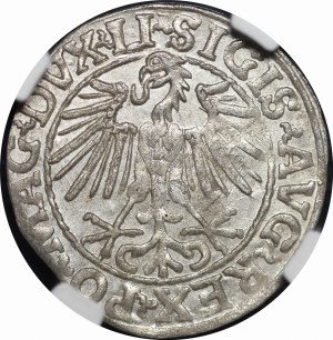 Sigismund II Augustus, Half-penny 1548, Vilnius - Arabic 1, LI/LITVA - beautiful