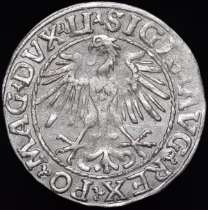 Sigismund II Augustus, Half-penny 1548, Vilnius - Arabic 1, LI/LITVA